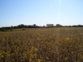 Real Estate Listing  XXX Route 2 Lancaster