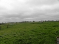 Real Estate Listing  XXX Rural Route 2 Lancaster
