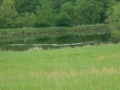 Real Estate Listing  XXX Burton Kirksville
