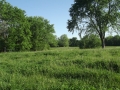 Real Estate Listing  1801 Normal Street Kirksville