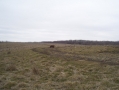 Real Estate Listing  XX State Highway 6 Green City