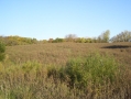 Real Estate Listing  xxx Shibley Rd Green Castle